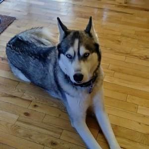 Meet your Posher, Cathy